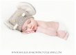 affordable prices and quality baby photography