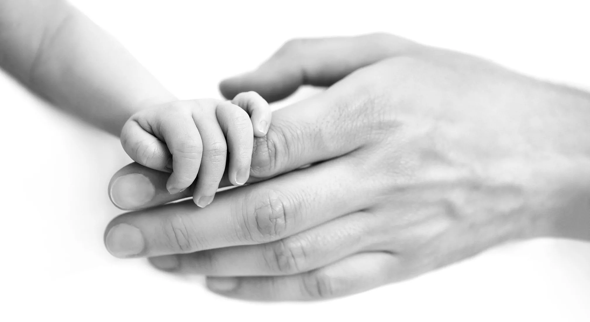 Baby hand holding adult hand