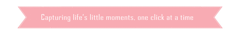 little moments photography banner